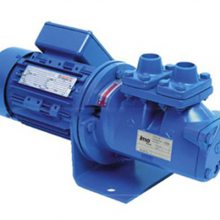 德國RIFOX凝結水泵