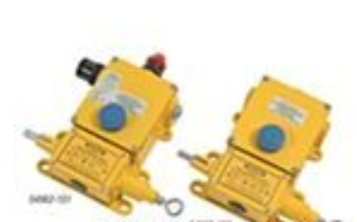 美國Rees電纜Rees按鈕開關(guān)Rees控制開關(guān)