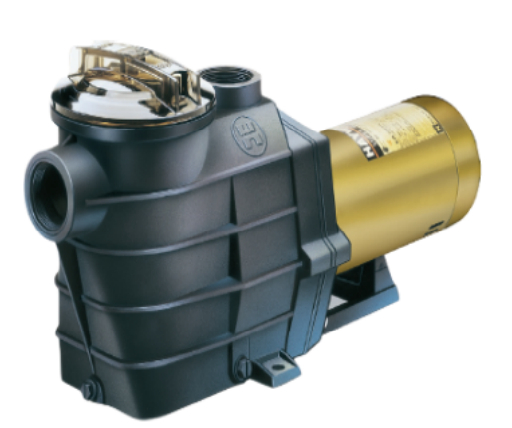 美國(guó)HAYWARD單向閥 