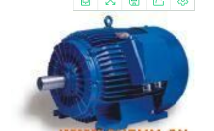 奧地利FFD異步電動(dòng)機(jī)