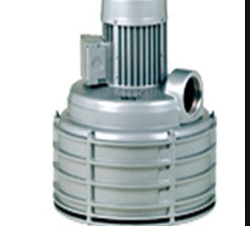 德國Elmo Rietschle離心風(fēng)機(jī)