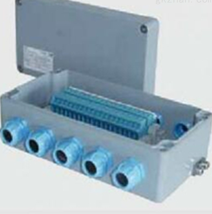 德國(guó)FLUIDTECHNIK FIEDLER壓力表