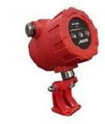 德國BFI火焰探測器