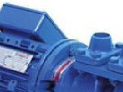 美國(guó)CARVER自吸泵