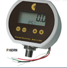 美國(guó) CECOMP壓力表