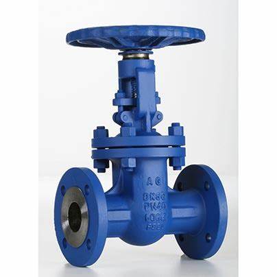 供應(yīng)意大利Valvosider閥門、過濾器