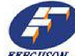 美國(guó)費(fèi)戈斯FERGUSON計(jì)量泵