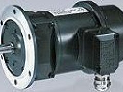 英國(guó)芬納FENNER電機(jī)