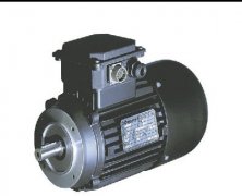 意大利CARPANELLI特殊發(fā)電機(jī)