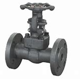 德國(guó)Integral止回閥